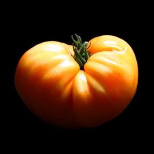 semence tomate amana orange