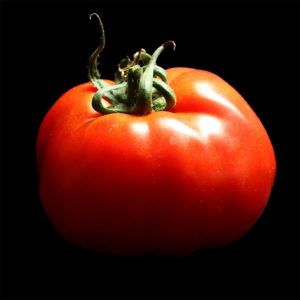 semence tomate beefsteak