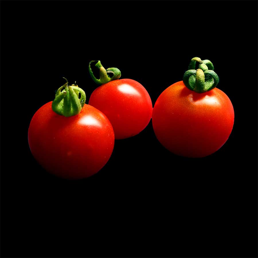 semence tomate délice des jardiniers