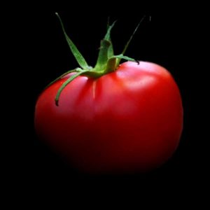 semence tomate rose de berne