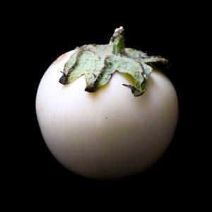 semence bio Aubergine Blanche Ronde à œuf