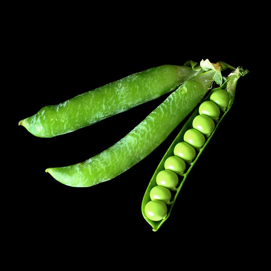 pois écosser merveille kerledon