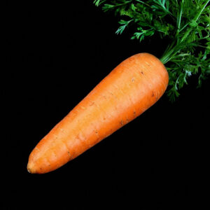 carotte nantaise touchon bio graines semences paysannes bio commande en ligne bretagne evran dinan