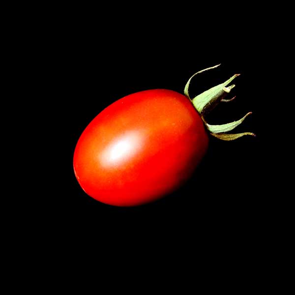 semences tomate prune russe noire