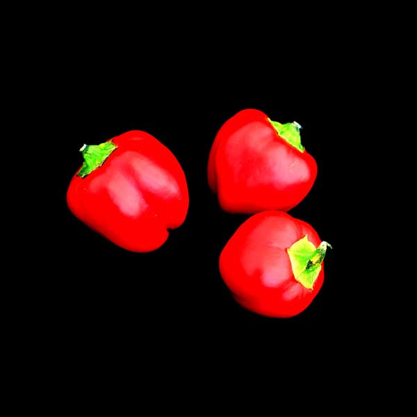 semences poivron mini red bell