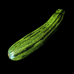 Courgette Verte Nimba semence graine commande en ligne bretagne