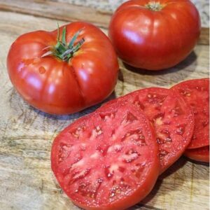 tomate beefsteak plant