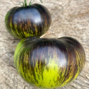 tomate Xanadu green goddess plant