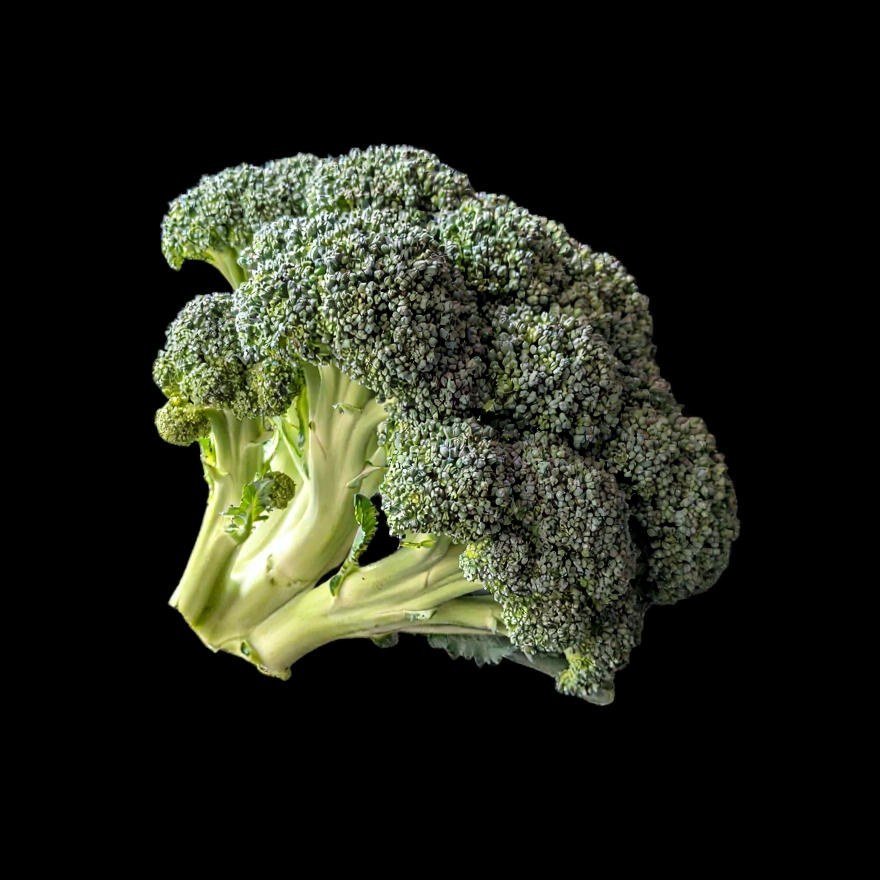 Chou Brocolis Calabrais semences graines commande en ligne bretagne