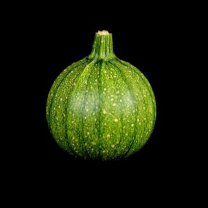 Courgette Ronde de Nice semences graines bretagne commande en ligne