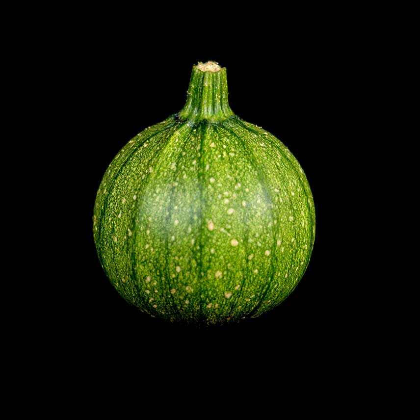 Courgette Ronde de Nice semences graines bretagne commande en ligne