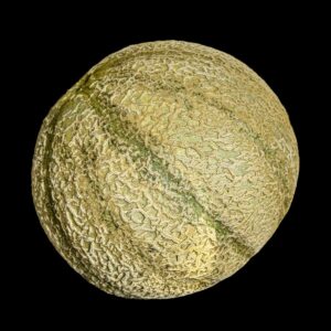 Melon Charentais du Roc semences graines bretagne commande en ligne