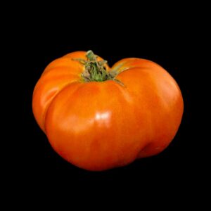 Tomate Carotina semences graines bretagne commande en ligne