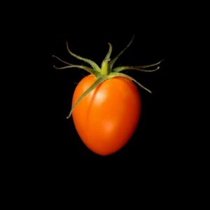 Tomate Orange Banana semences graines bretagne commande en ligne