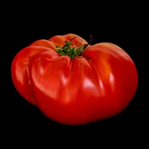 Tomate Rouge Russe semences graines bretagne commande en ligne