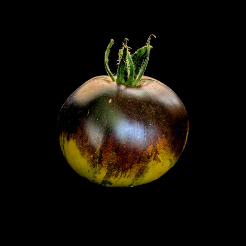 Tomate Xanadu Green Goddess semences graines bretagne commande en ligne