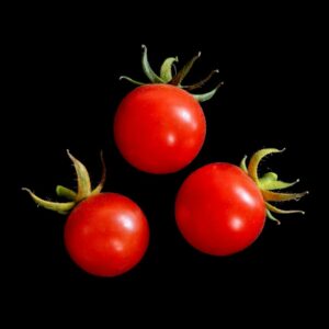 Tomate cerise Miel du Mexique semences graines commande en ligne bretagne