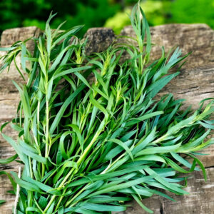 estragon plant commande en ligne bretagne