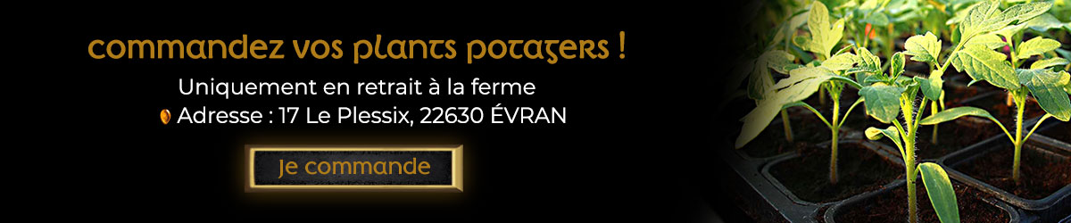 plant potager bio commande en ligne bretagne evran dinan