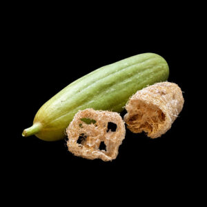 Courge éponge Luffa graines semences paysannes bio commande en ligne bretagne evran dinan
